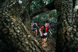 BIB: 
                            <button type="button" onclick="openModal(25392301)" class="btn btn-primary btn-sm float-right btn-popup" data-toggle="modal" data-target=".modal-high-quality">
                        <i class="fas fa-shopping-cart"></i> Add to Cart
                    </button>
                                            <button type="button" onclick="isThisMe(25392301, true)" class="btn btn-success btn-sm float-right btn-popup btn-isme hidden" data-toggle="tooltip" data-placement="bottom" title="นี่คือรูปของคุณใช่ไหม คลิกที่นี่เพื่อเอาเข้าอัลบั้ม">
                        <i class="fas fa-plus"></i> Add to album
                    </button>
                    <button type="button" onclick="isThisMe(25392301, false)" class="btn btn-warning btn-sm float-right btn-popup btn-isnotme hidden">
                        <i class="fas fa-ban"></i> Remove from album
                    </button>